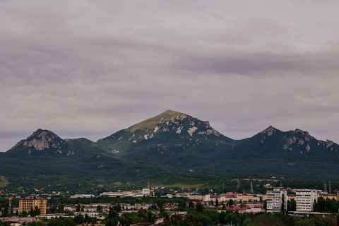Вид